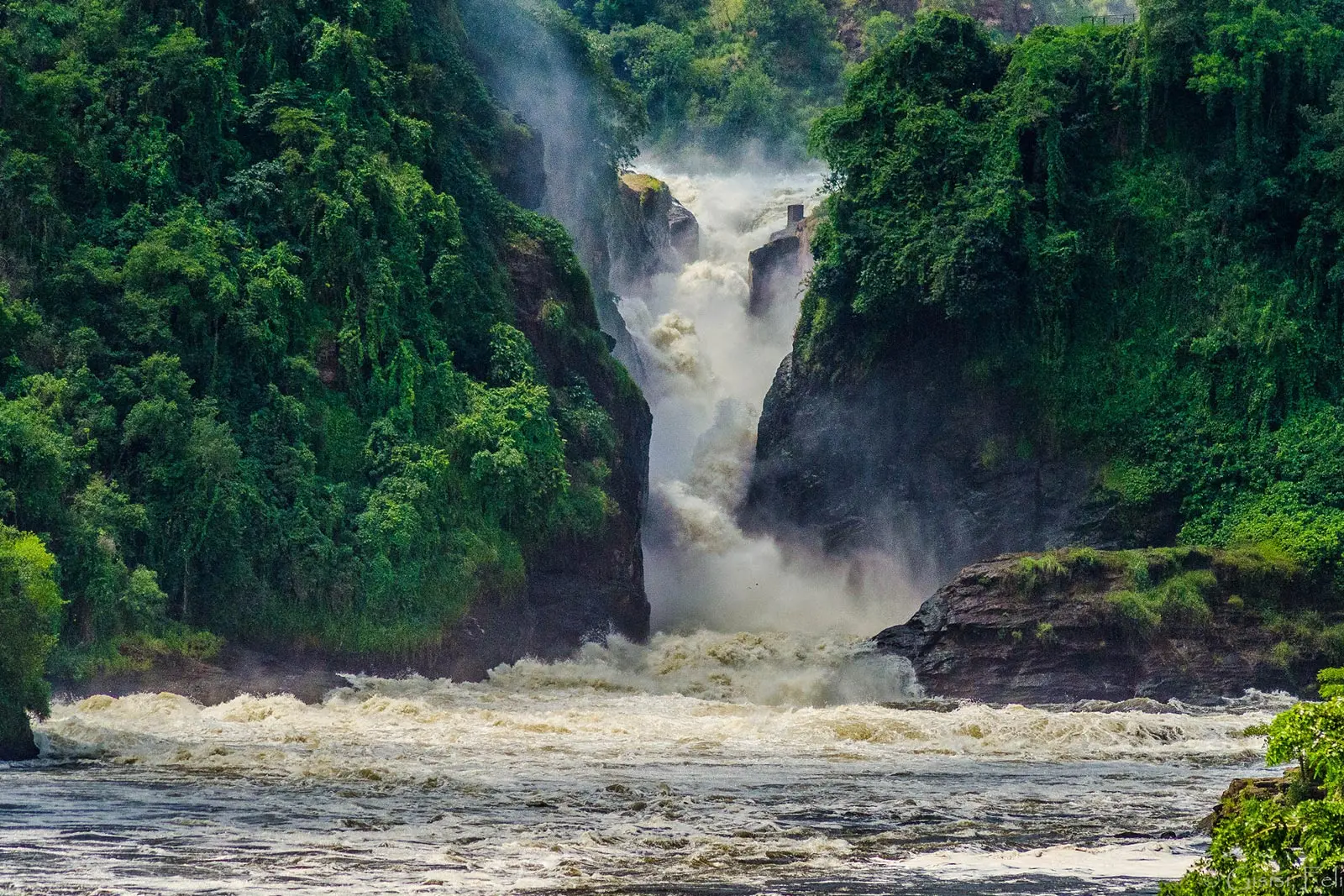 Murchison Falls<br>  National Park 