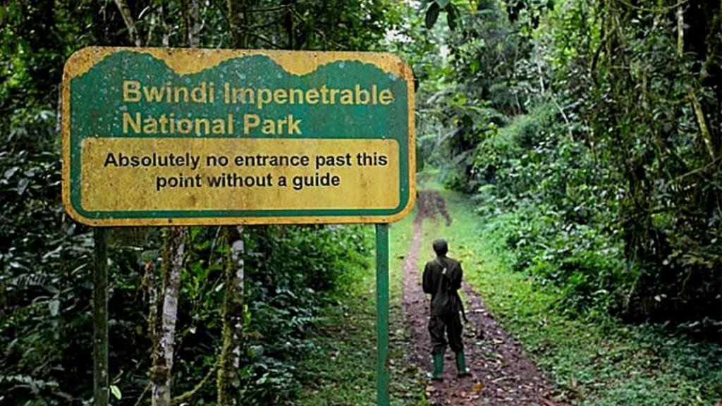 Bwindi Impenetrable <br> Forest National Park