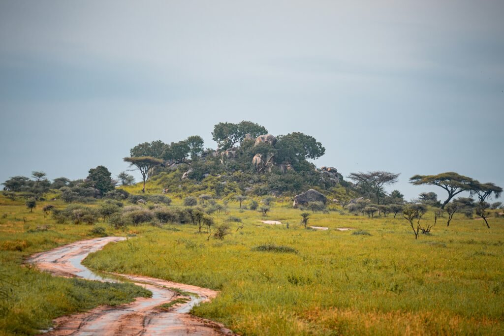 Kidepo Valley National Park