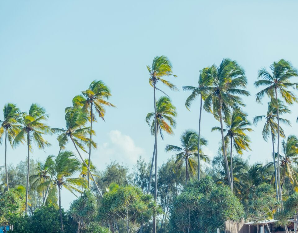 Zanzibar Archipelago