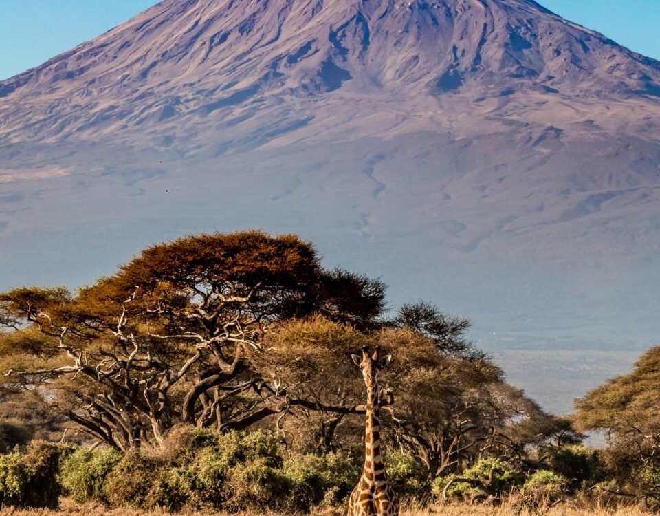 Mount Kilimanjaro