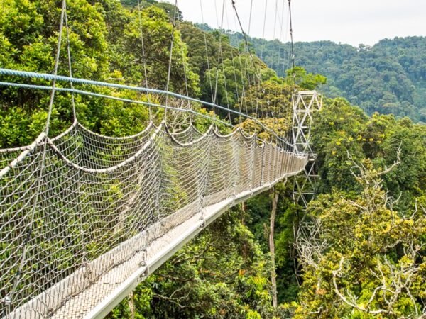 Nyungwe National Park
